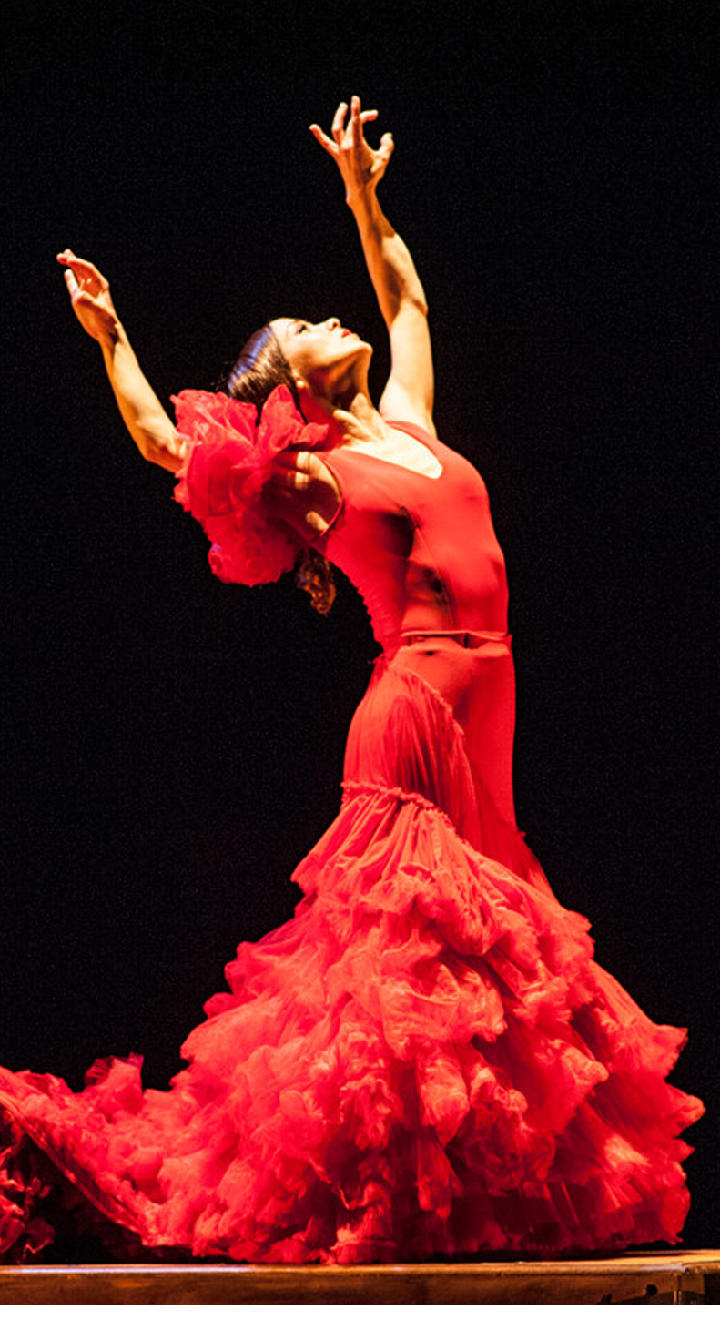image about Flamenco Biënnale